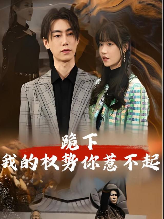 跪下我的权势你惹不起封面