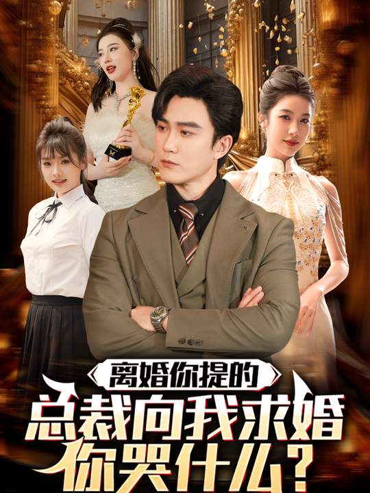 离婚你提的,总裁向我求婚你哭什么封面