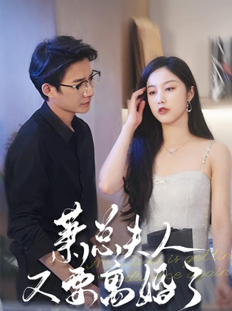 萧总夫人又要离婚了封面