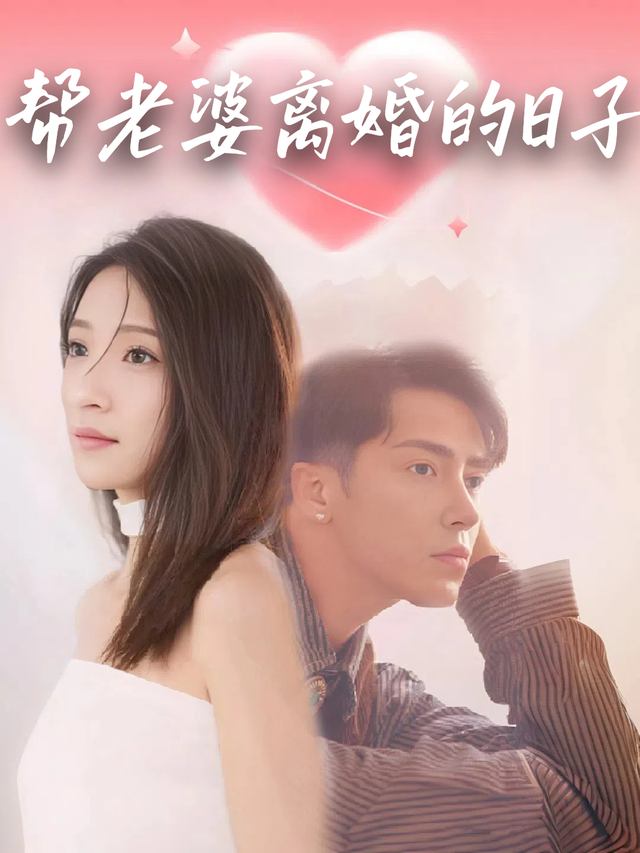 帮老婆离婚的日子封面