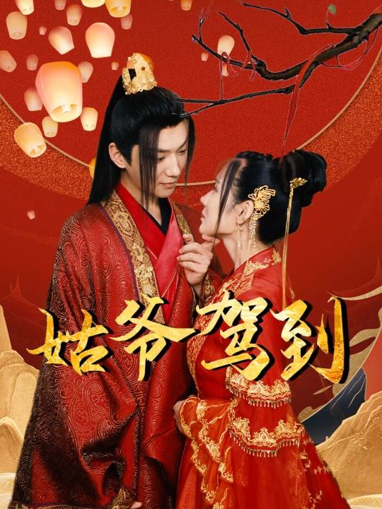 姑爷驾到封面
