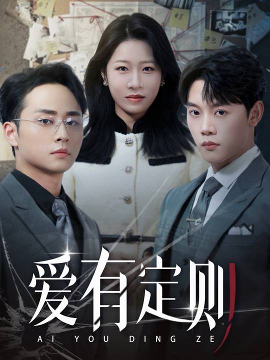 爱有定则封面