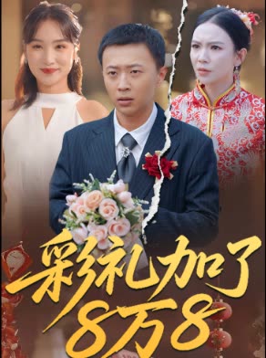 彩礼加了8万封面