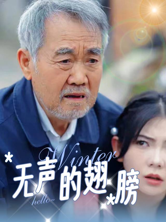无声的翅膀封面