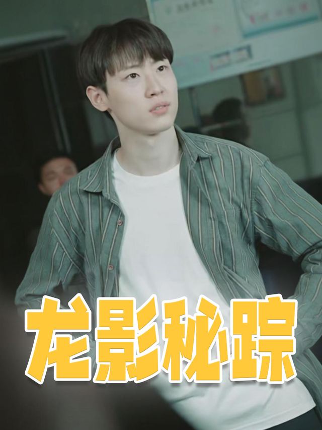 龙影秘踪封面