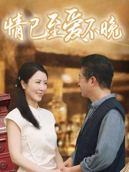 情已至爱不晚封面