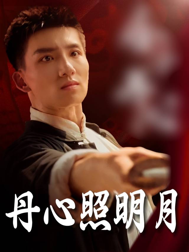 丹心照明月封面