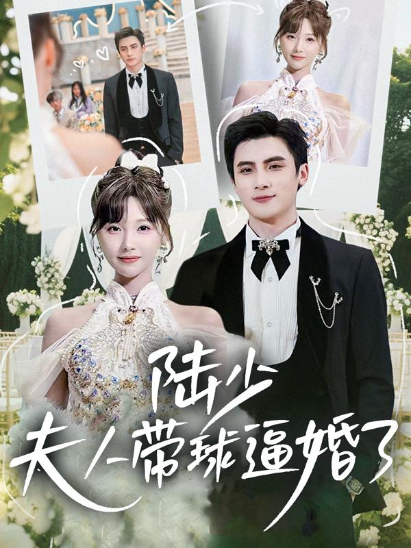 陆少,夫人带球逼婚了封面