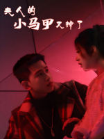 夫人的小马甲又掉了封面