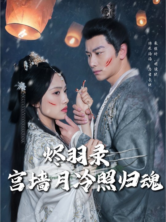 烬羽录:宫墙月冷照归魂封面