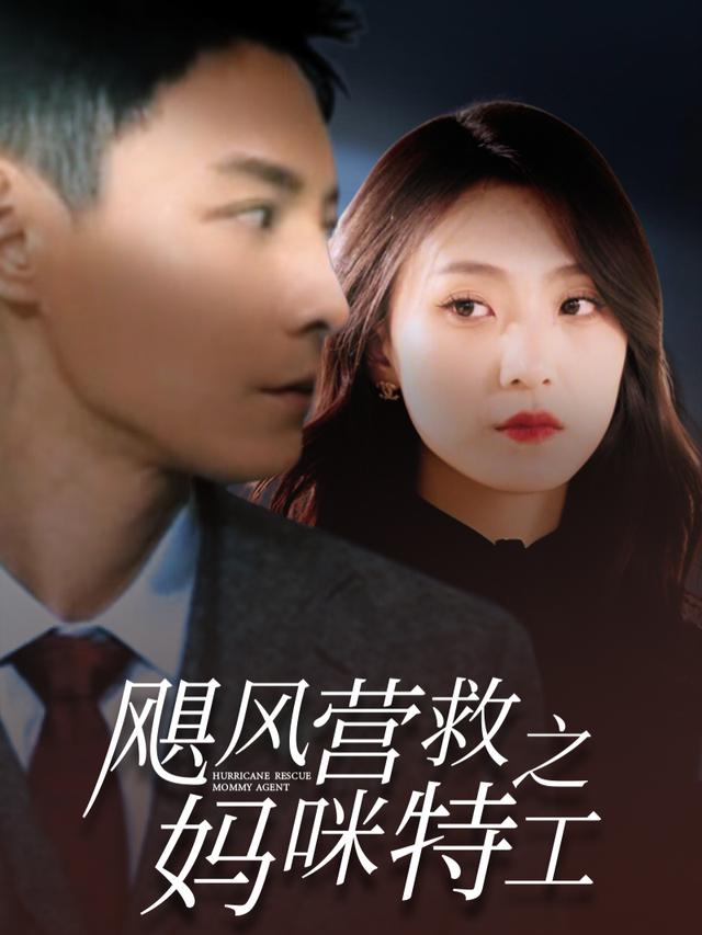 飓风营救之妈咪特工封面