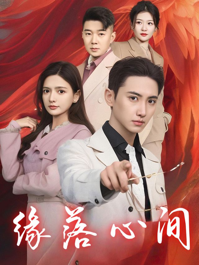 缘落心间封面