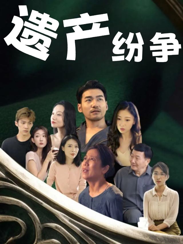 遗产纷争封面