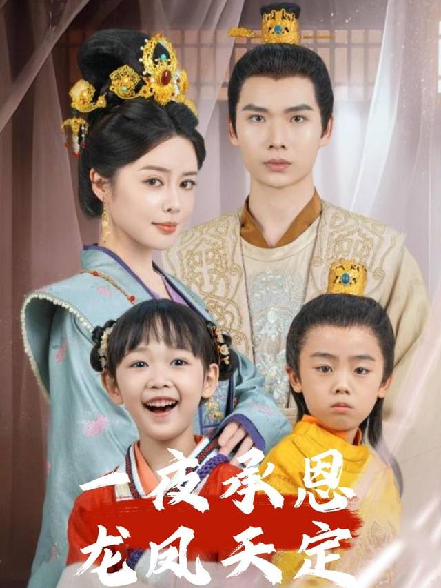 一夜承恩龙凤天定封面