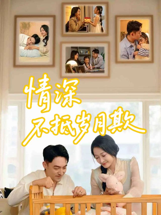 情深不抵岁月欺封面