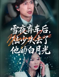 雪夜弃车后,陆少失去了他的白月光封面