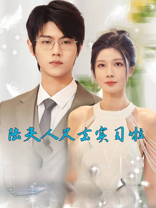 陆夫人又去实习啦封面