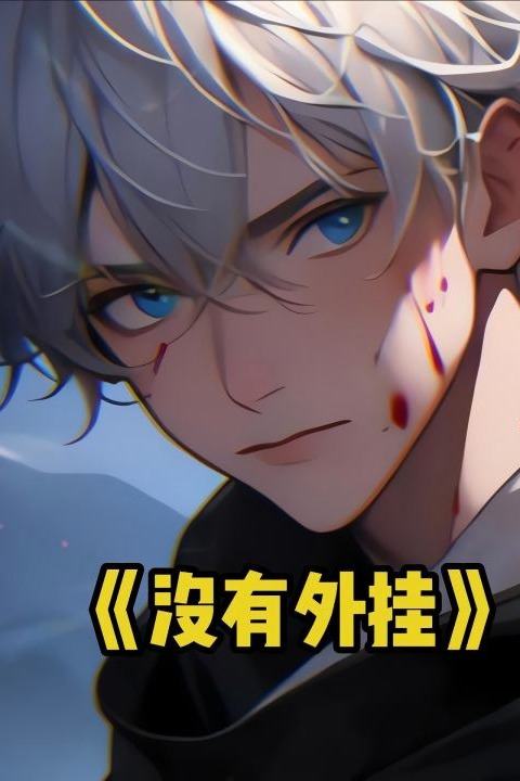 没有外挂封面