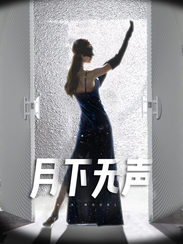 月下无声封面