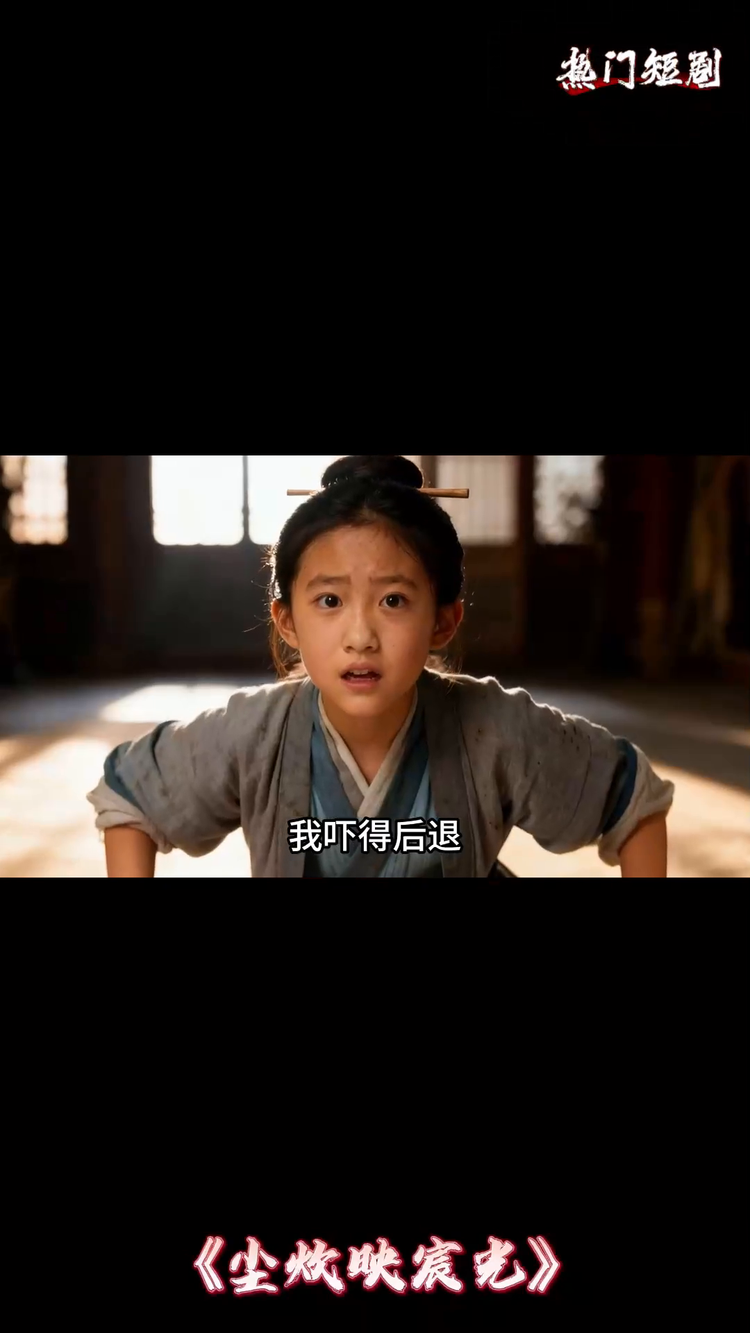 尘炊映宸光封面