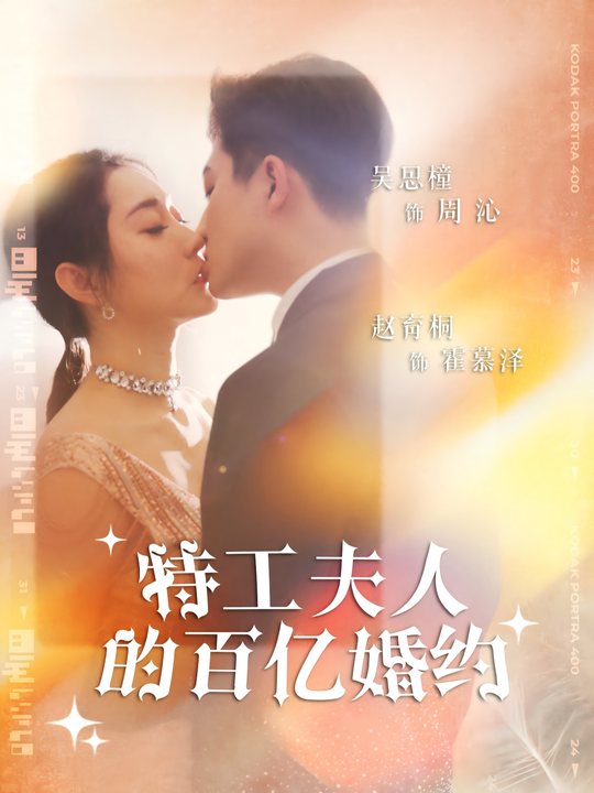 特工夫人的婚约封面