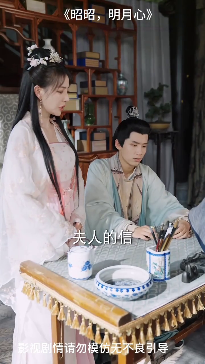 昭昭,明月心封面