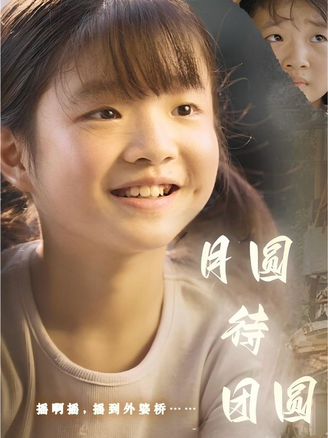 月圆待团圆封面