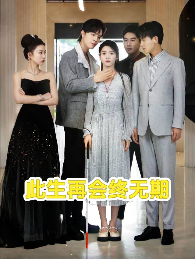 此生再会终无期封面