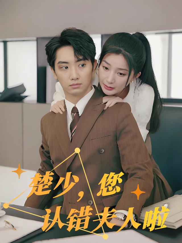 楚少,您认错夫人啦封面