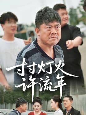 寸寸灯火许流年封面