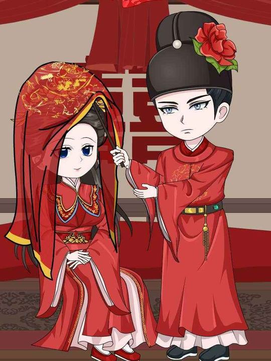 替嫁公主封面