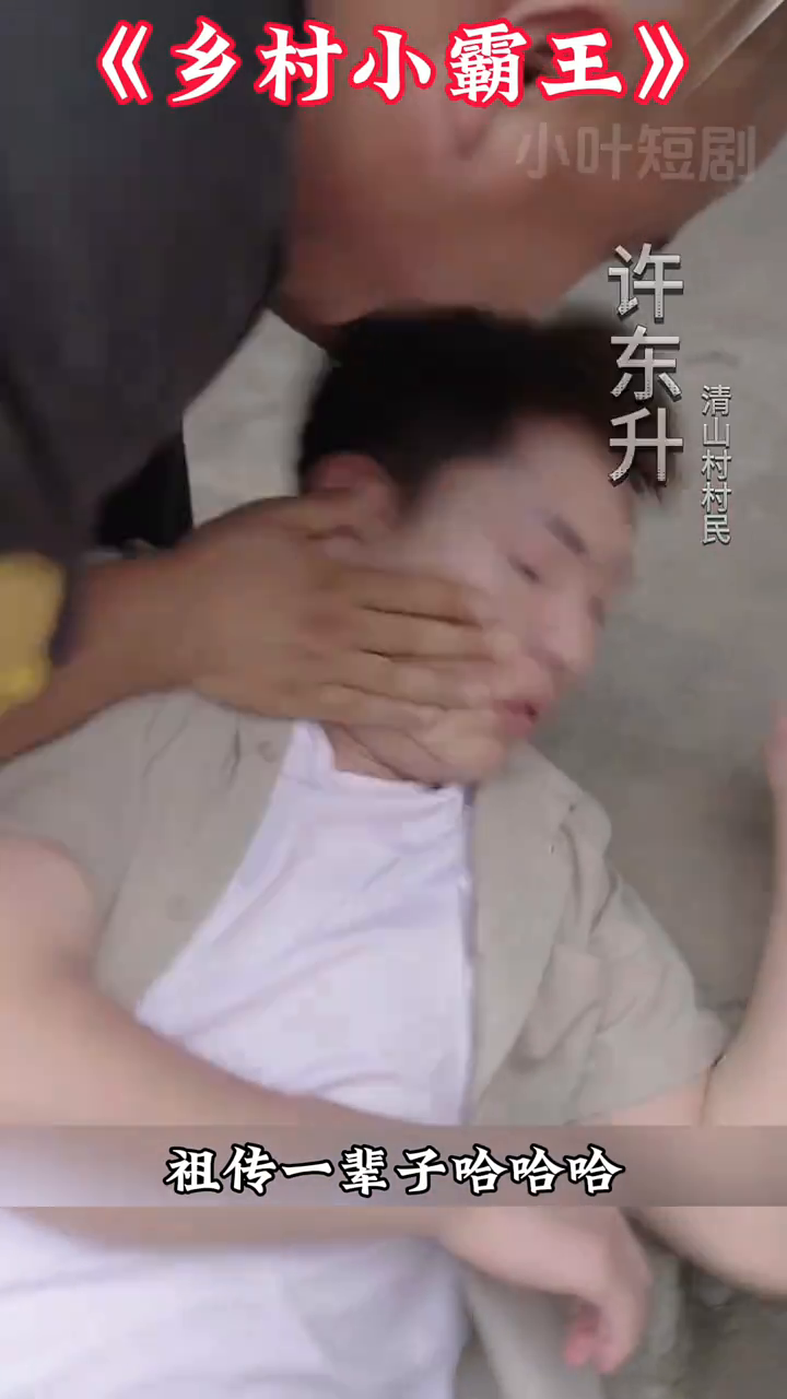 乡村小霸王封面