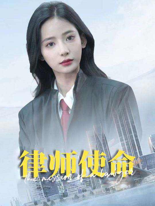 律师使命封面