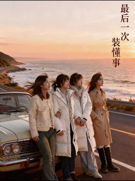 最后一次装懂事封面