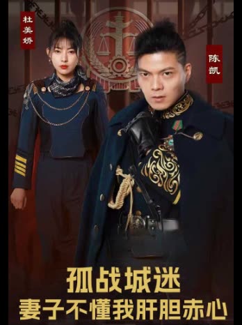 孤战城迷:妻子不懂我肝胆赤心封面