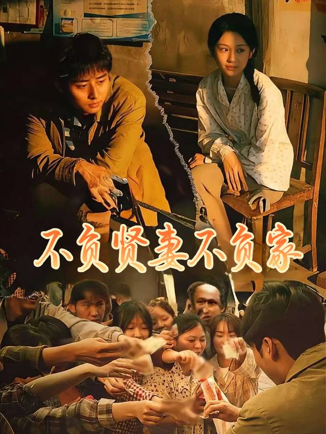 不负贤妻不负家封面