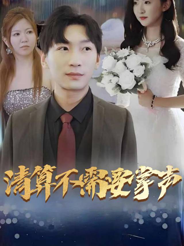 清算不需要掌声封面