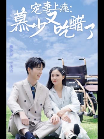 宠妻上瘾:慕少又吃醋了封面