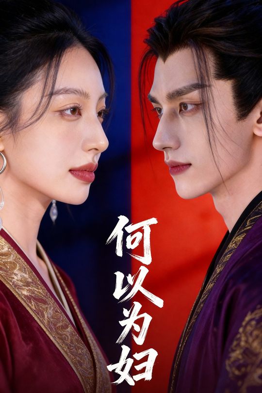 何以为妇封面