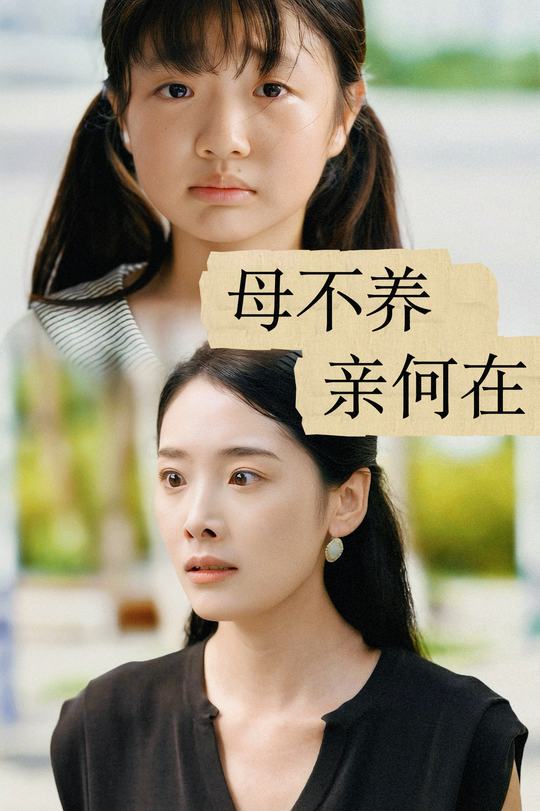 母不养亲何在封面