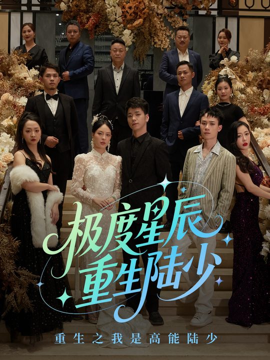 极度星辰,重生陆少封面