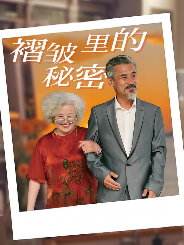 褶皱里的秘密封面