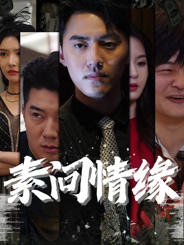 素问情缘封面