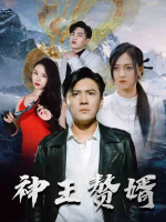 神王赘婿封面
