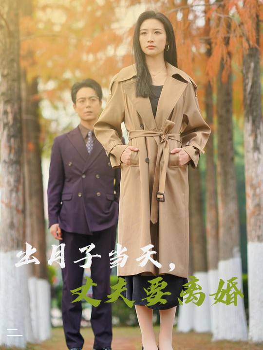 出月子当天,丈夫要离婚封面
