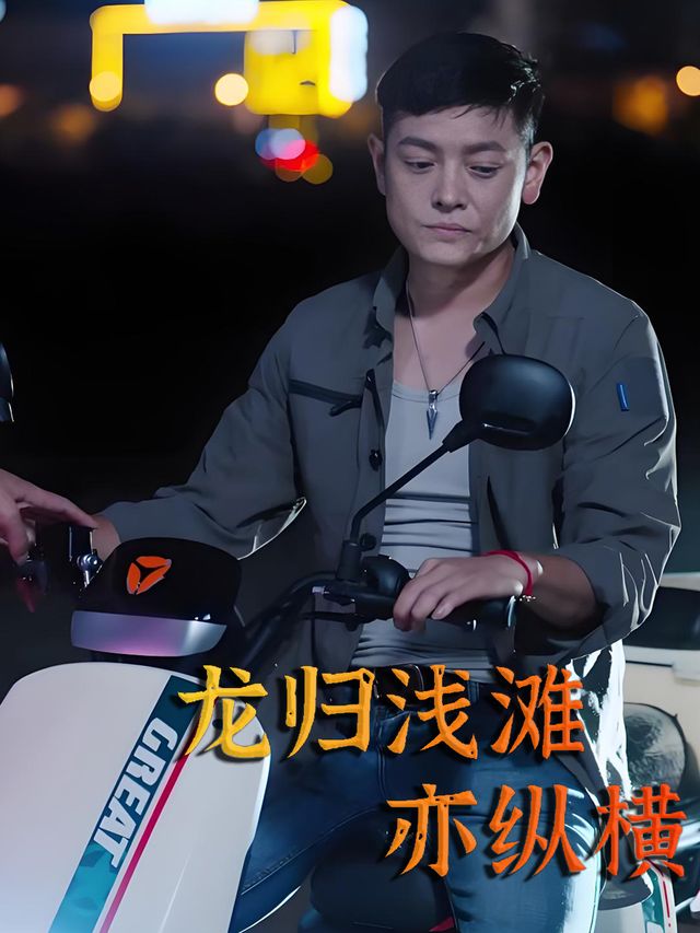 龙归浅滩亦纵横封面
