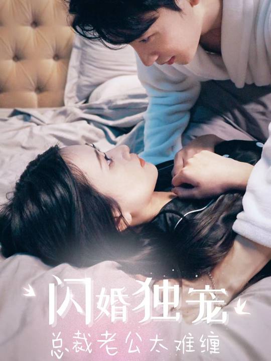 闪婚独宠：总裁老公太难缠封面