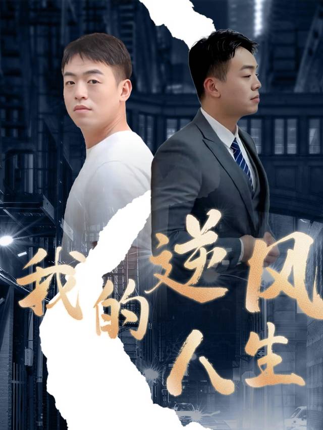 我的逆风人生封面