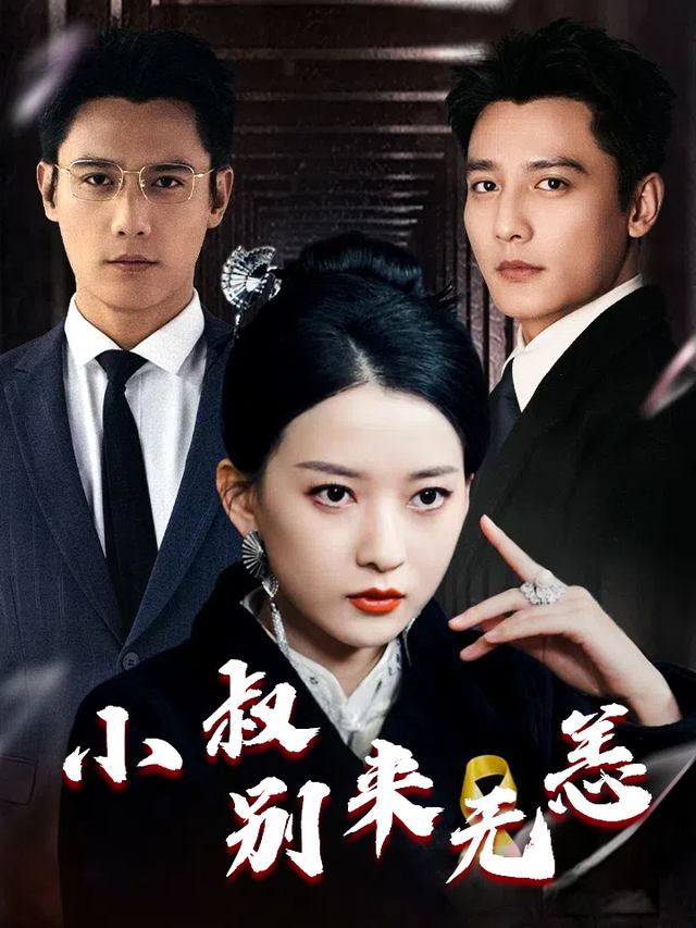 小叔，别来无恙封面