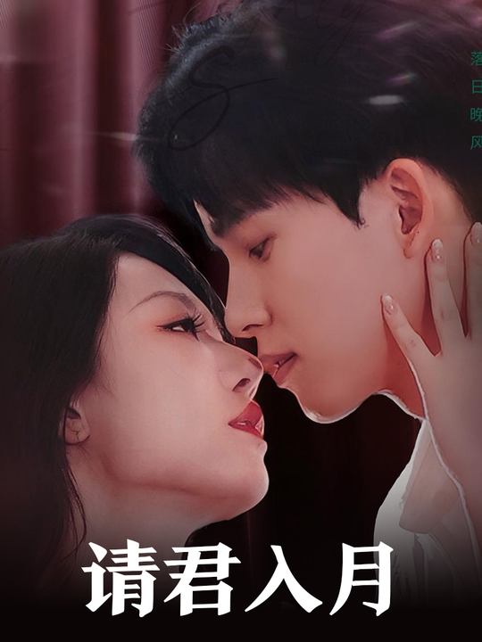 请君入月封面